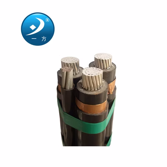 ASTM BS NFC IEC DIN Standard Triplex Neutro