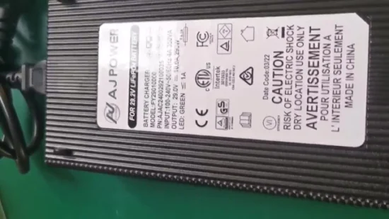 29,2 V LiFePO4 RV Convertitore di potenza Convertitore CC Caricatore per batteria al litio ferro fosfato Auto Camion Rvs Uscita 29 V 10 A Max Anderson Connettore